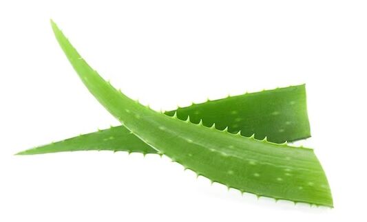 Brand Funent Brand contains Aloe Vera